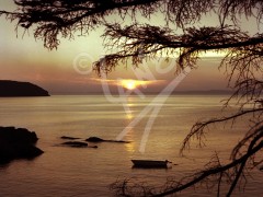 Plate Cove